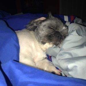 Meet your Posher, Kevin